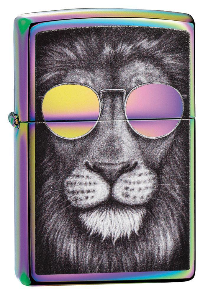 lion in sunglasses