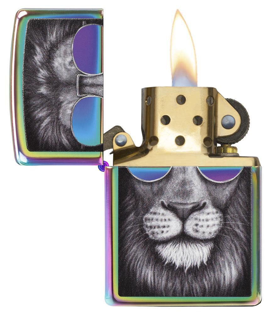 lion in sunglasses