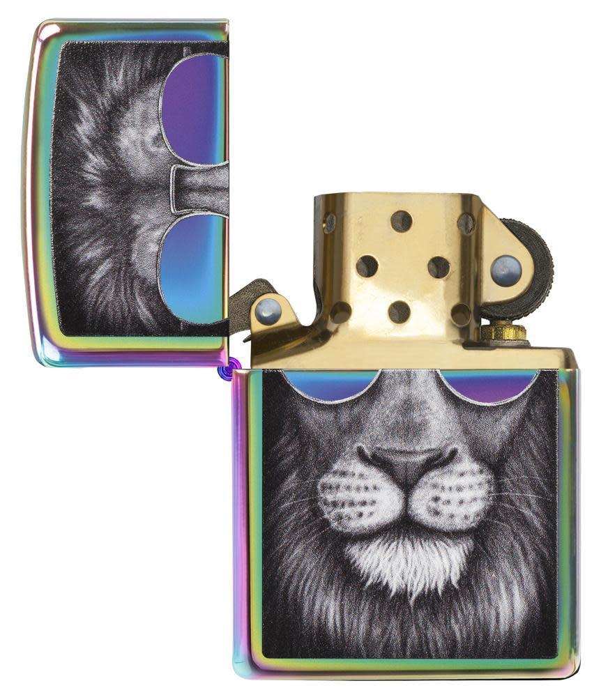 lion in sunglasses