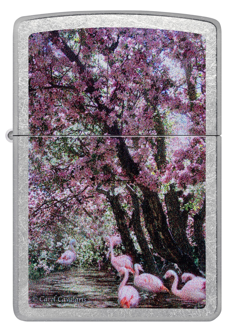 carol cavalaris flamingo lagoon design