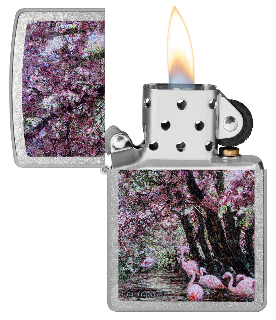 carol cavalaris flamingo lagoon design