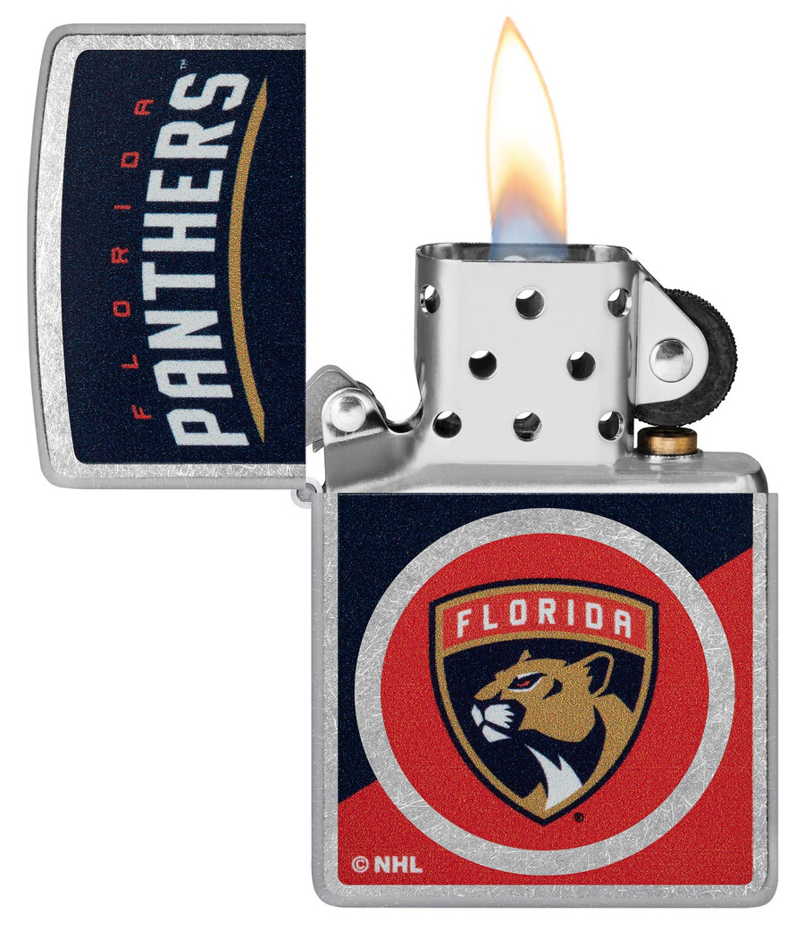 florida panthers colorblock logo design