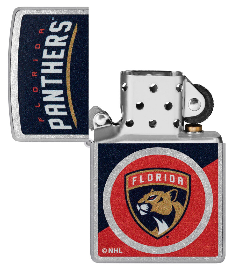 florida panthers colorblock logo design