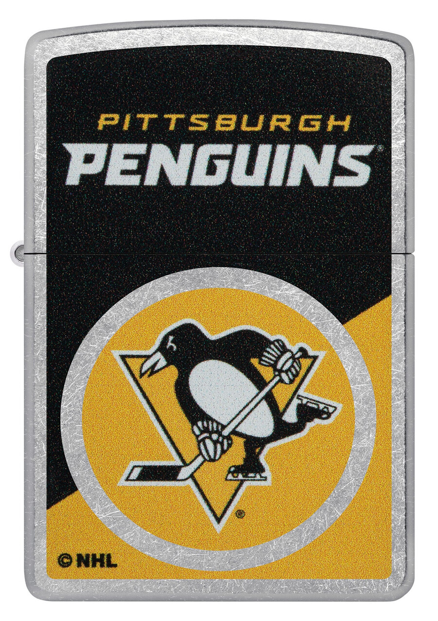 pittsburgh penguins colorblock logo design
