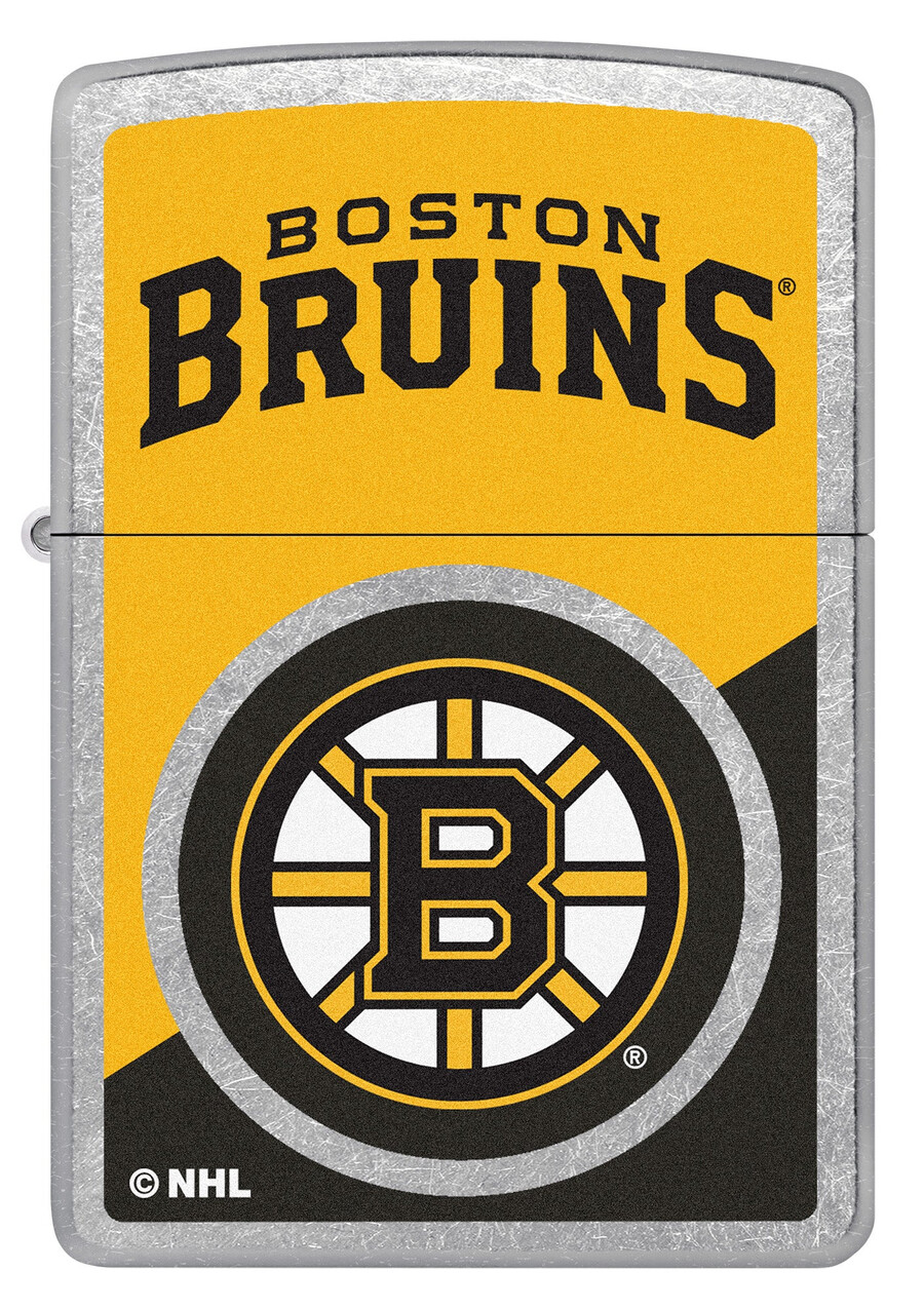 boston bruins colorblock logo design