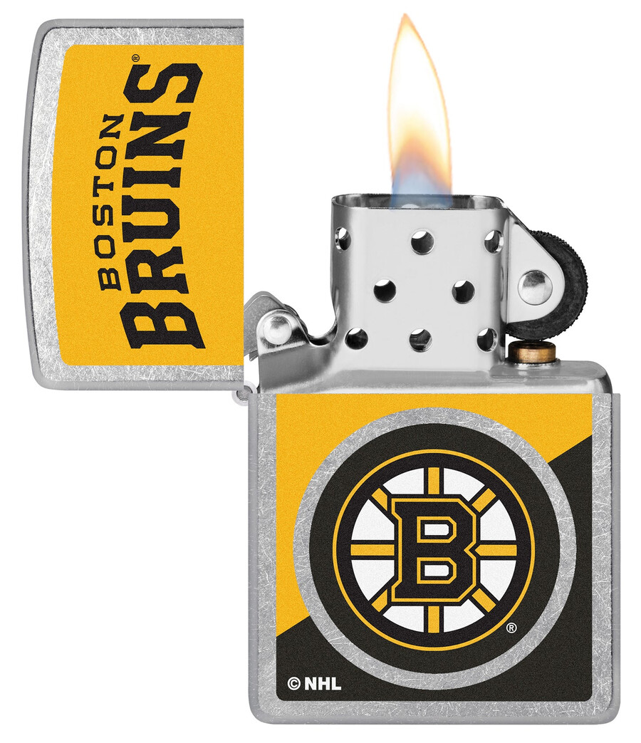 boston bruins colorblock logo design