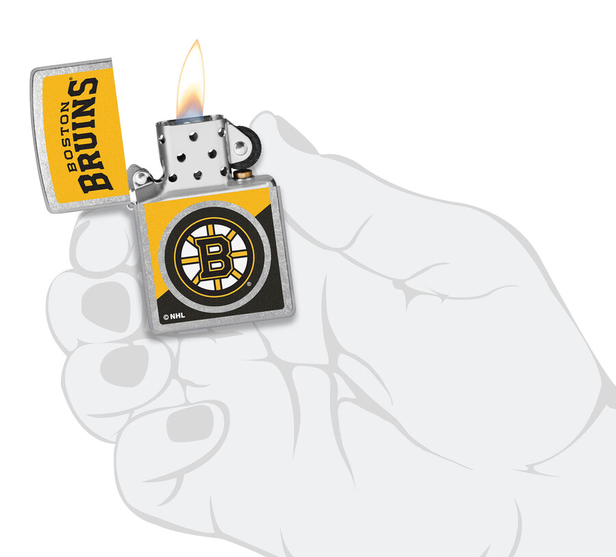 boston bruins colorblock logo design
