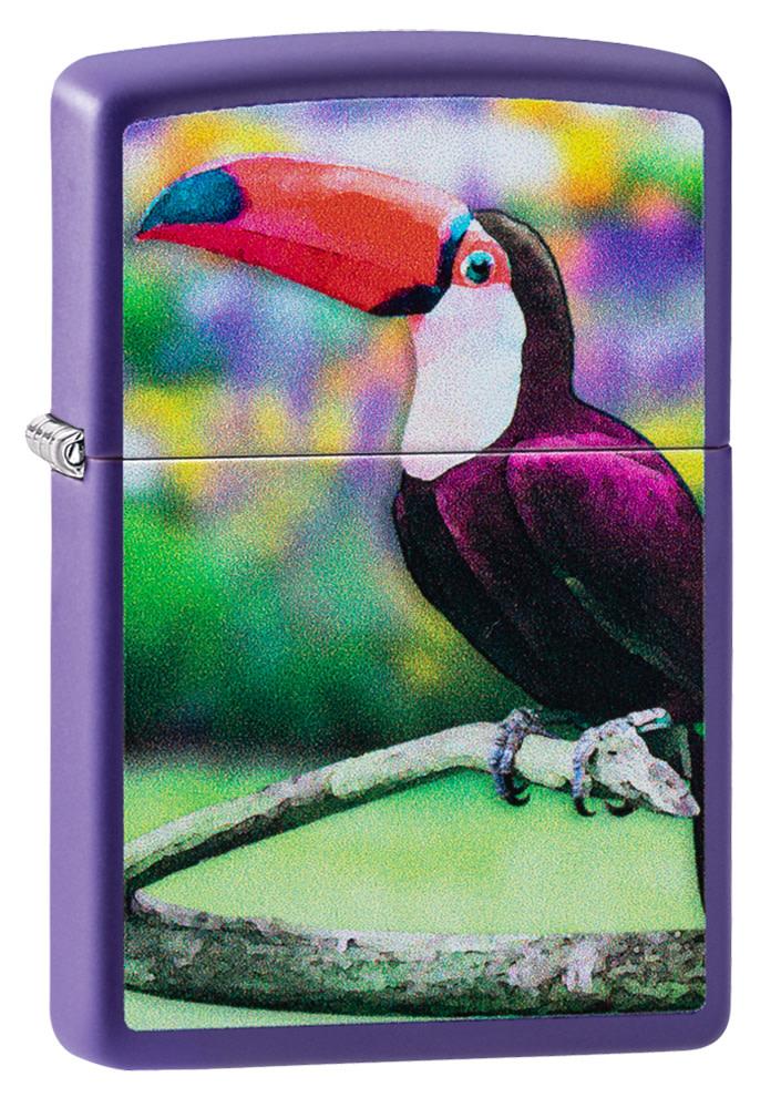toucan design