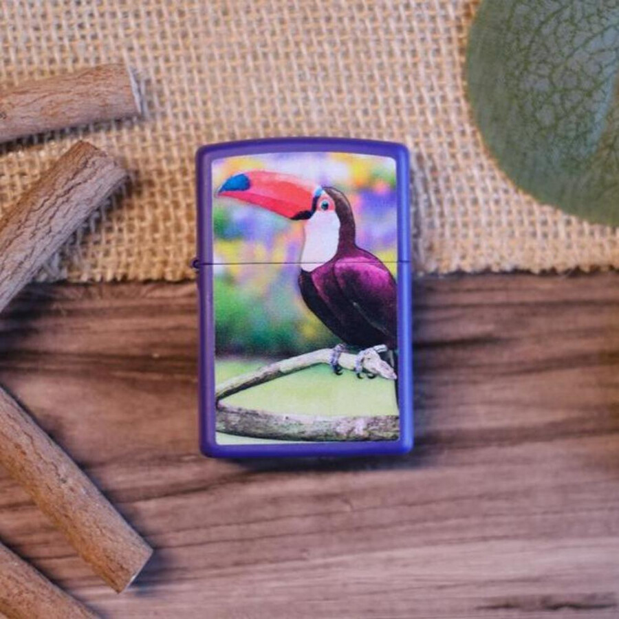toucan design