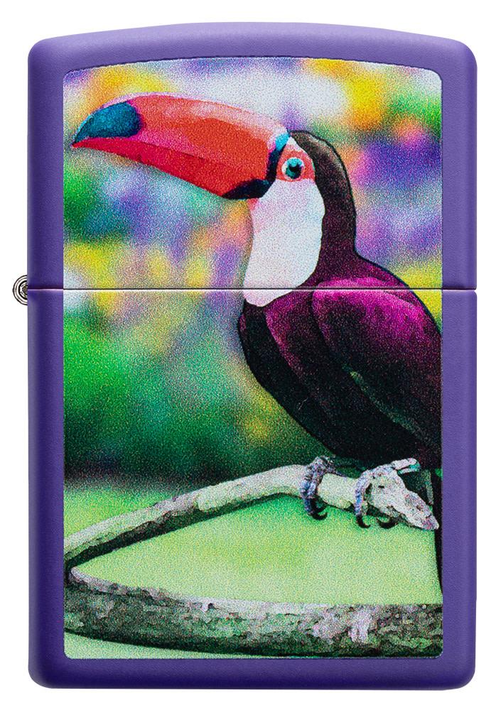 toucan design
