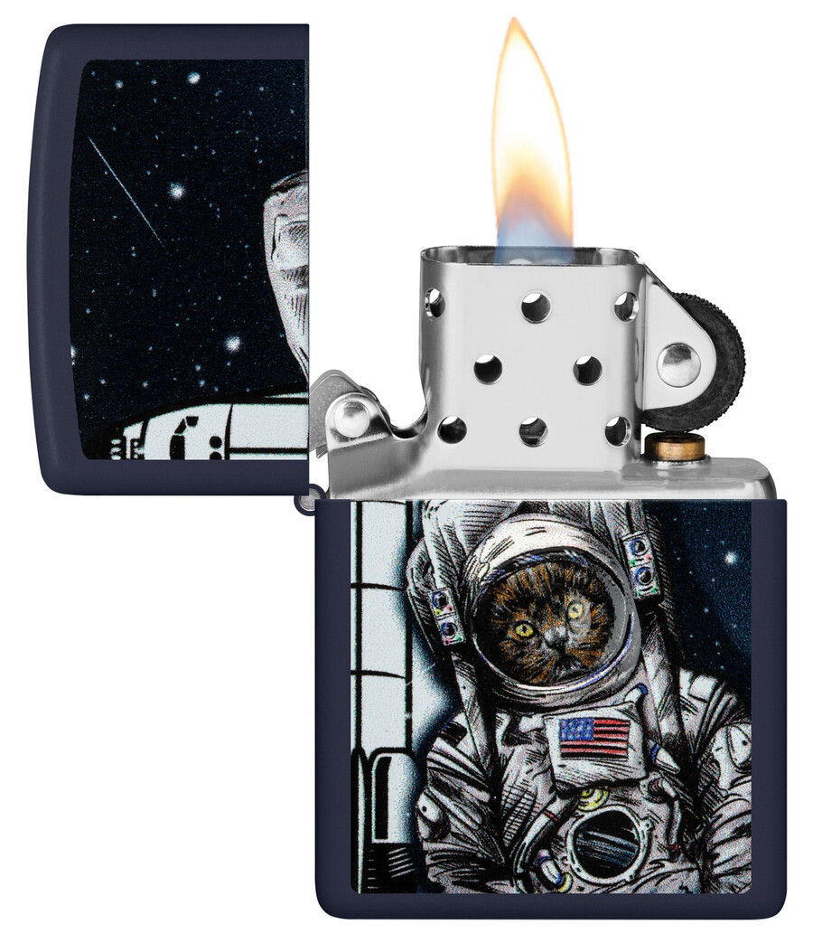 space kitten design