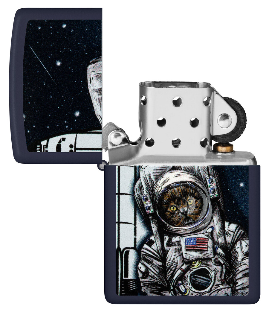 space kitten design