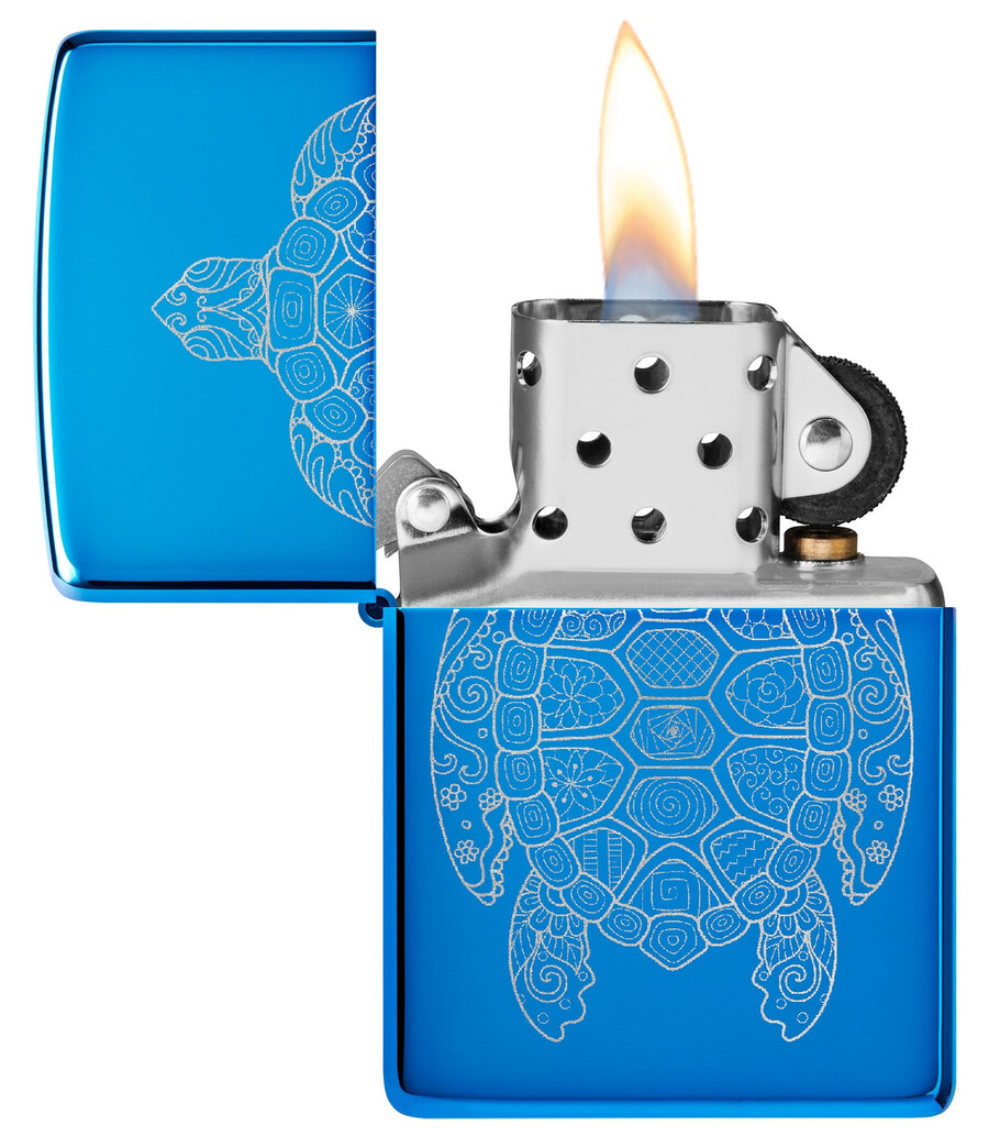 zen turtle design