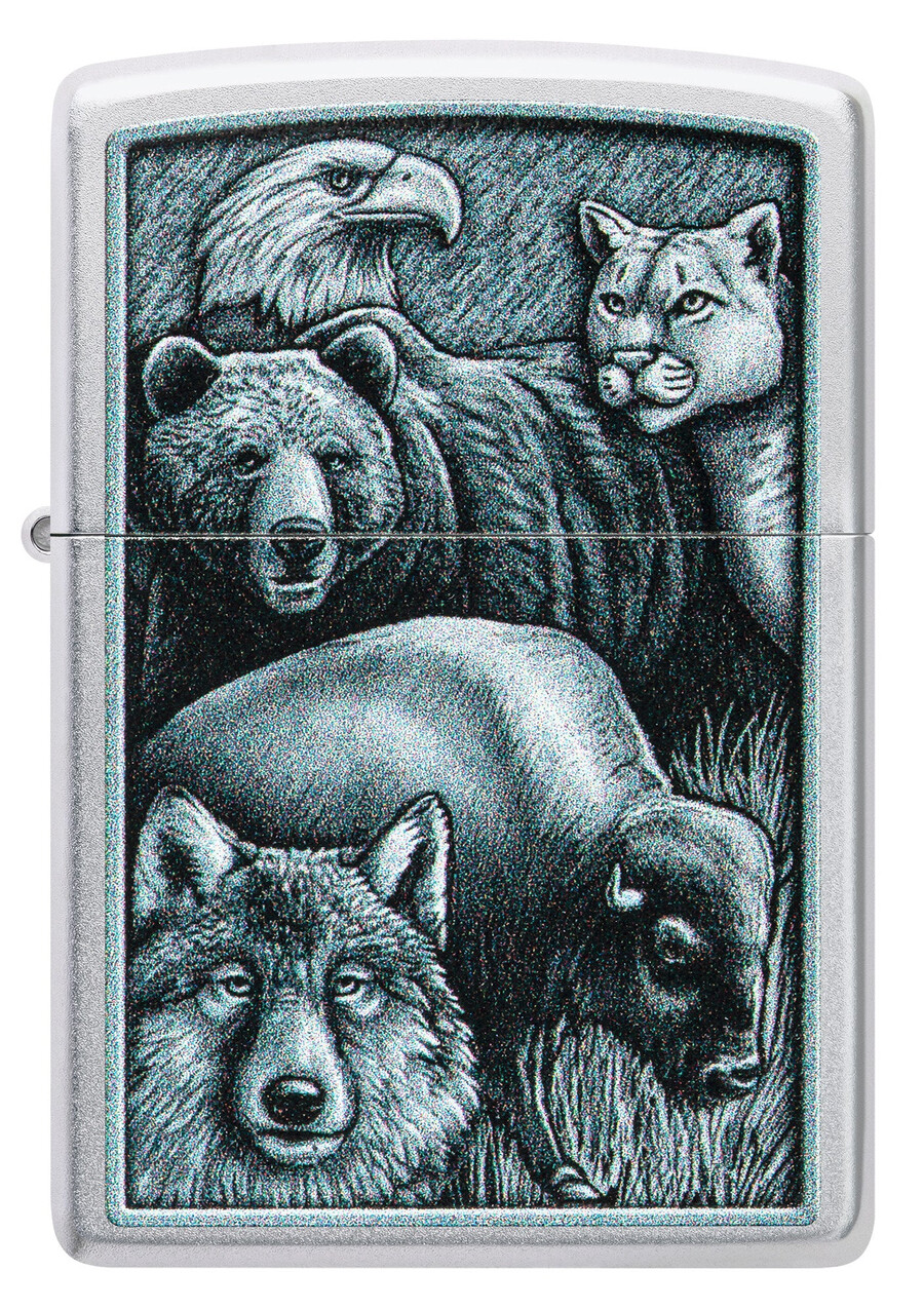 animal kingdom design
