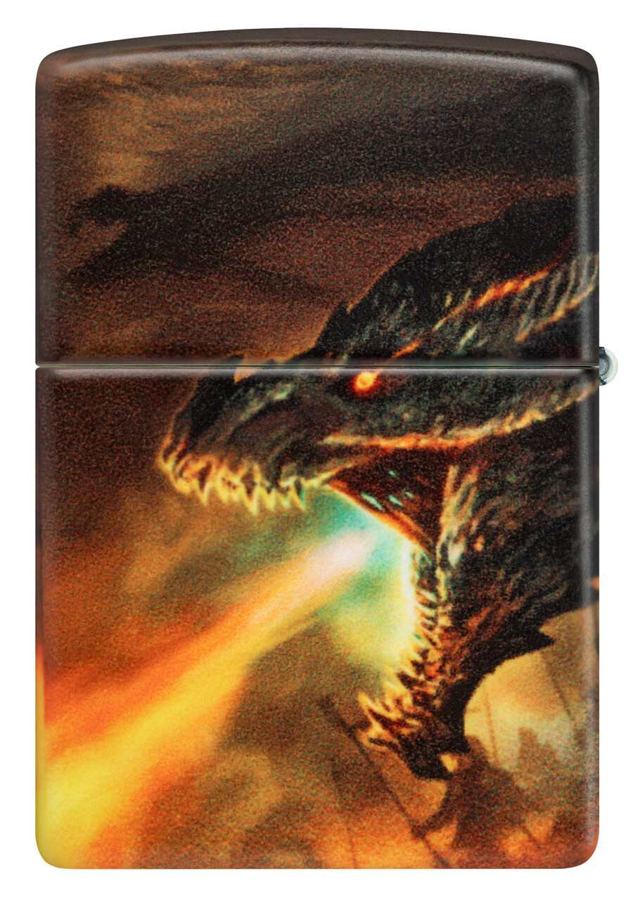 knight and dragon design