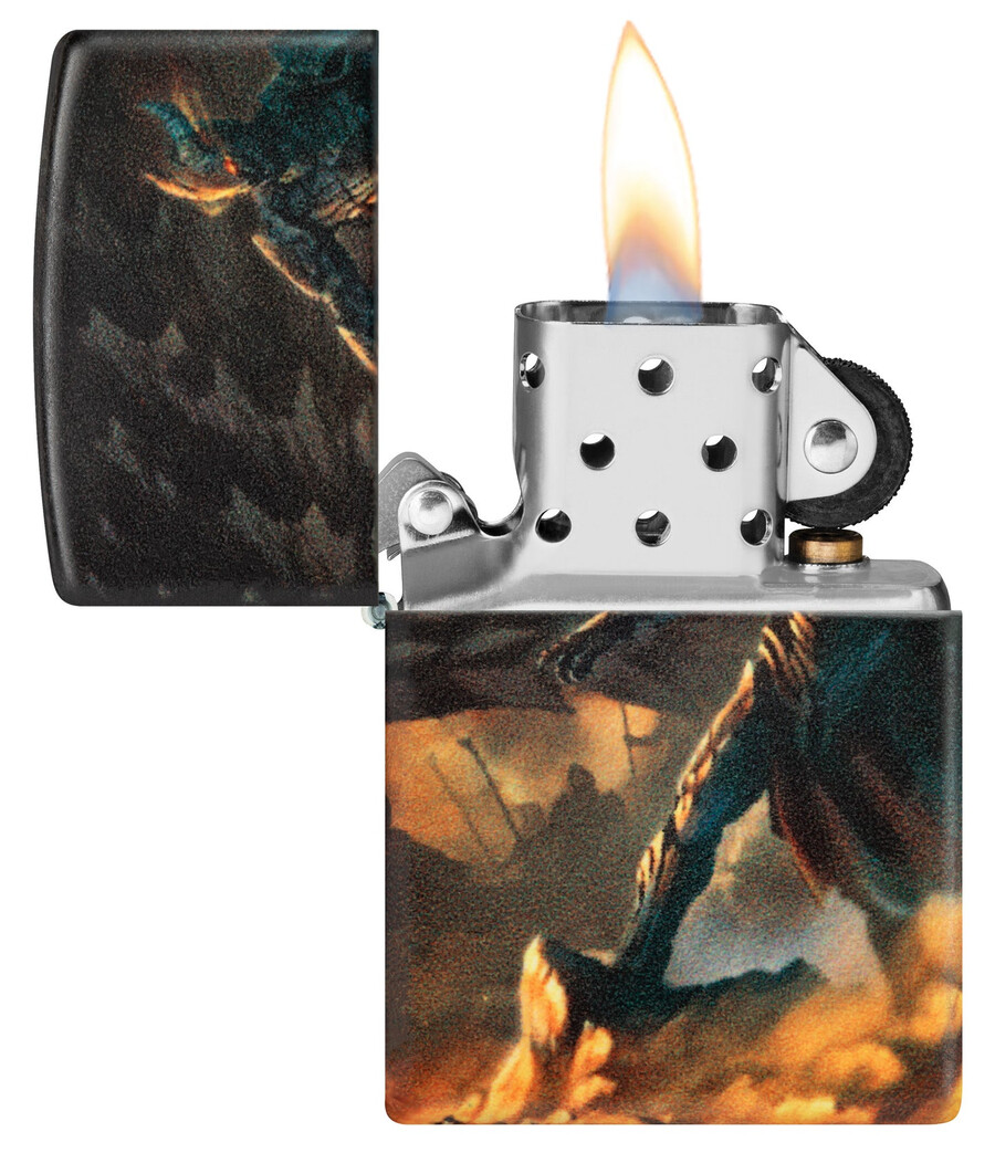 knight and dragon design