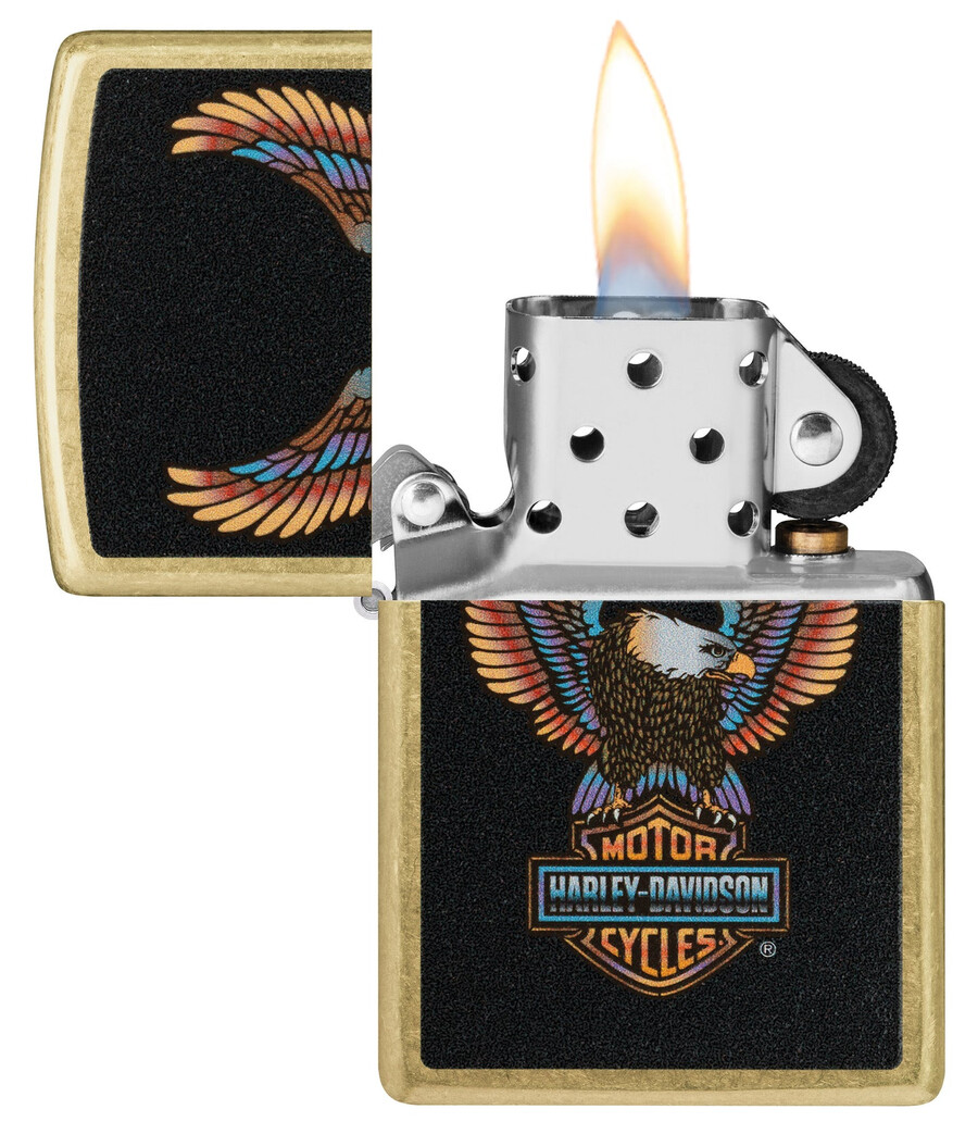 harley-davidson eagle design