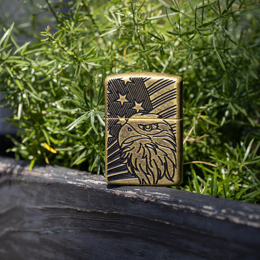 eagle and flag design