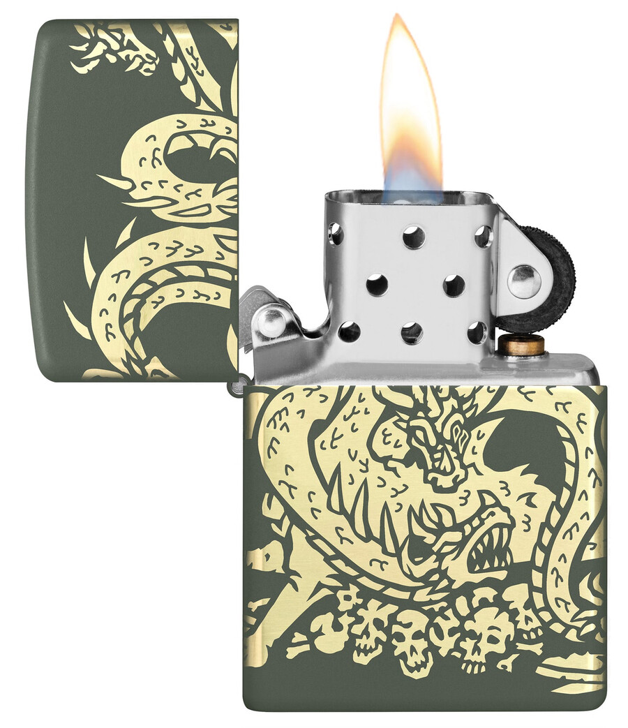 dragon design