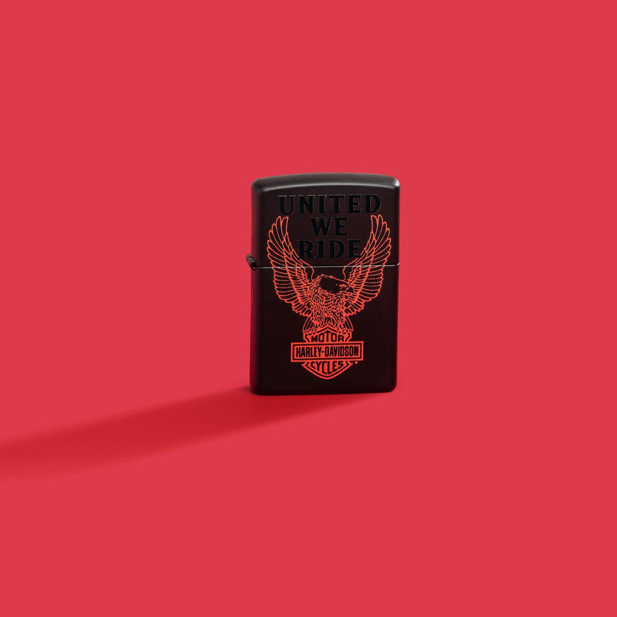 harley-davidson united we ride design