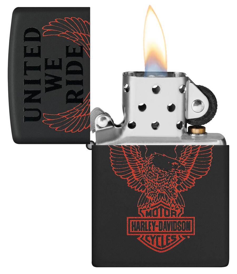 harley-davidson united we ride design
