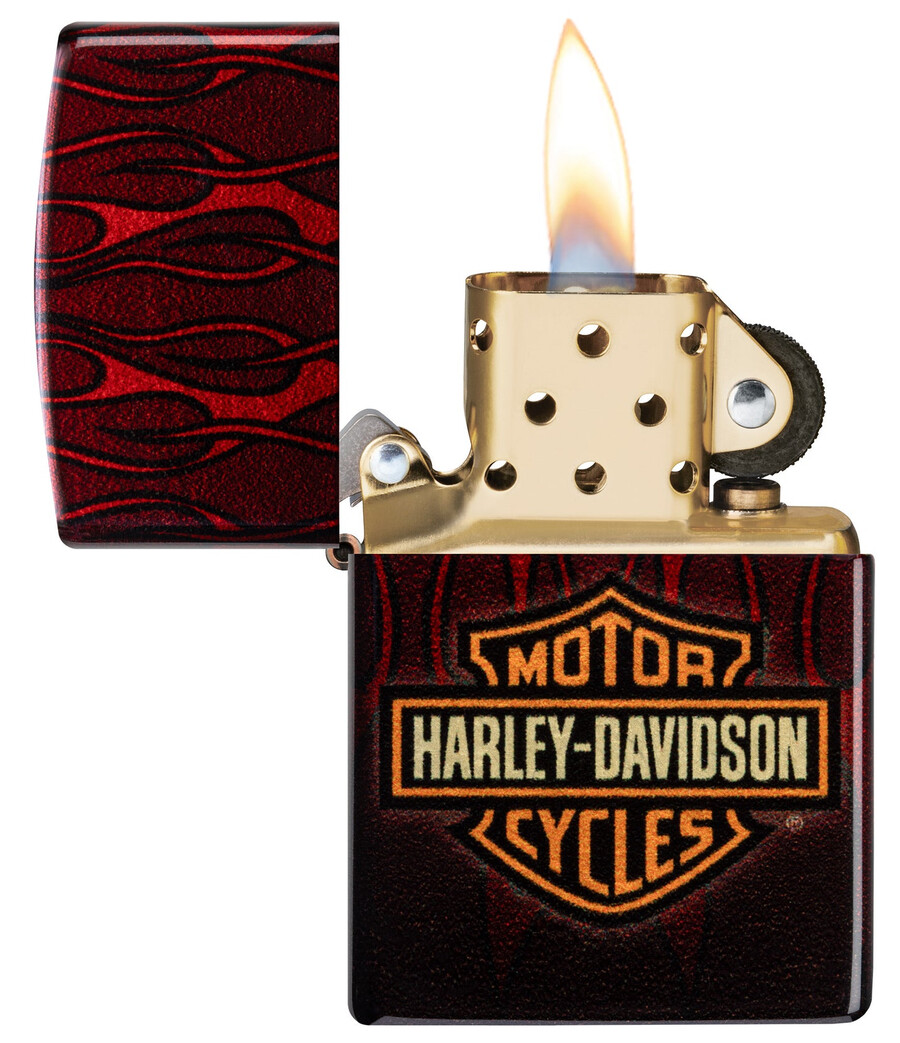 harley-davidson fusion flames design